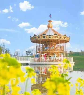 LED Lighting Amusement Ride Carousel Double Decker 38 Seat For Theme Park 4.2rpm